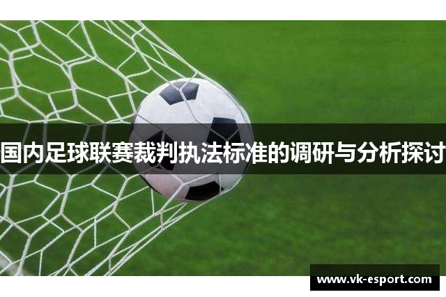 国内足球联赛裁判执法标准的调研与分析探讨