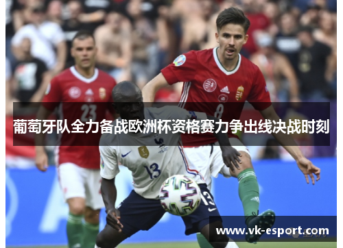 葡萄牙队全力备战欧洲杯资格赛力争出线决战时刻