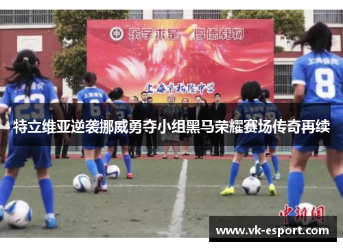 特立维亚逆袭挪威勇夺小组黑马荣耀赛场传奇再续