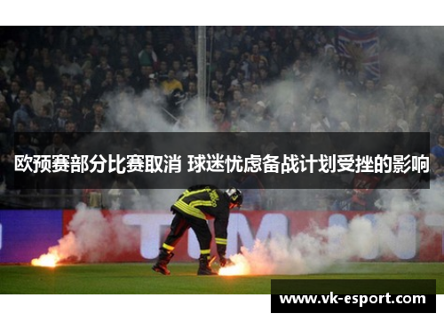 欧预赛部分比赛取消 球迷忧虑备战计划受挫的影响