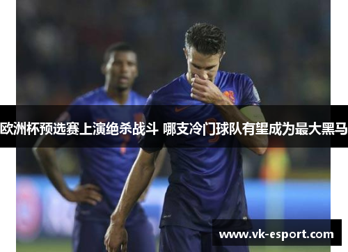 欧洲杯预选赛上演绝杀战斗 哪支冷门球队有望成为最大黑马
