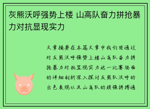 灰熊沃呼强势上楼 山高队奋力拼抢暴力对抗显现实力