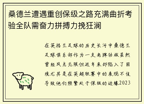 桑德兰遭遇重创保级之路充满曲折考验全队需奋力拼搏力挽狂澜