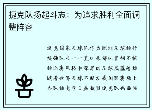 捷克队扬起斗志：为追求胜利全面调整阵容