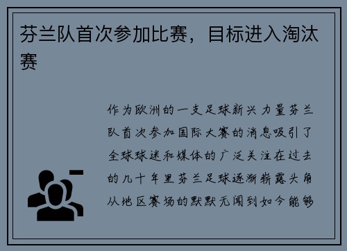 芬兰队首次参加比赛，目标进入淘汰赛
