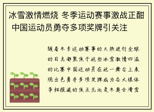 冰雪激情燃烧 冬季运动赛事激战正酣 中国运动员勇夺多项奖牌引关注